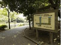 横十間川親水公園